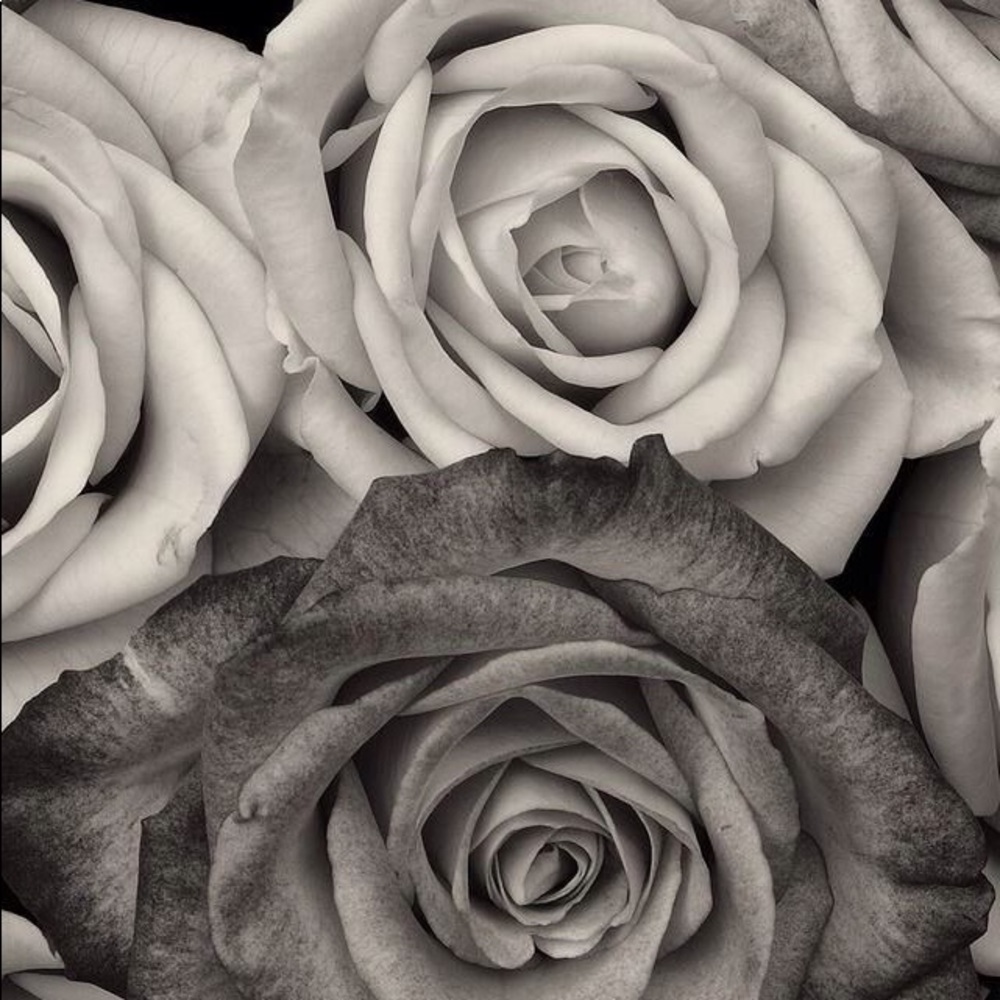 Meet your Posher, Ruby